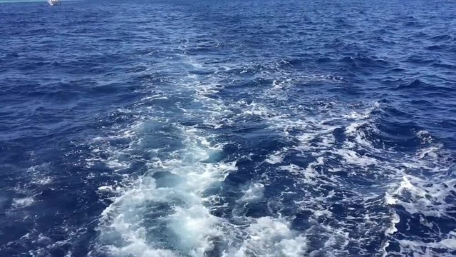 The catterpillar floats over the sea, the camera down full hd