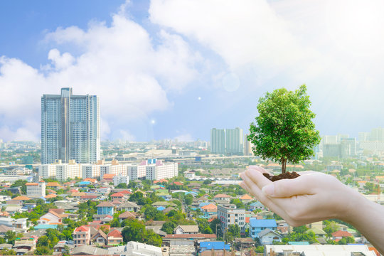 Ecology concept Human hands holding big plant with background environment day and buildings of the public
