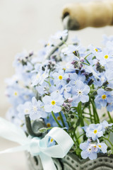Bouquet of forget-me-not flowers
