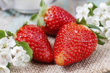 Strawberries and blooming hawthorn flowers on rustic wooden table.