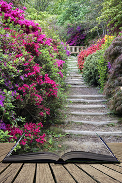 Beautiful vibrant landscape image of footpath border by Azalea flowers in Spring in England concept coming out of pages in open book