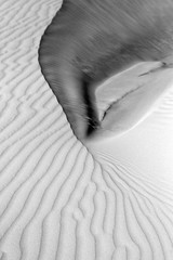 Sand Dunes, Lancelin, Australia