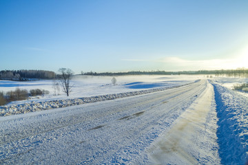White winter, fog and trees. Silent and sunny morning. 2012
