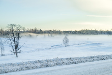 White winter, fog and trees. Silent and sunny morning. 2012