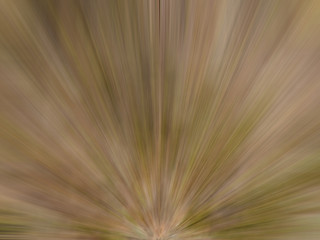 Abstract radial lines background.