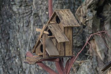 The House Bird. A brown wood tiny house on a tree background.