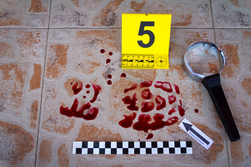 The bloody trail of footwear. Found at the crime scene