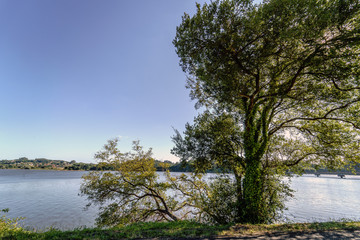 View of a lake in Galicia (Spain) through the trees of the shore on a day with totally clear sky