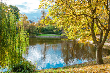 Sunny autumn landscape with golden trees and water - autumn park -  bunte Blätter am Wasser im Park

