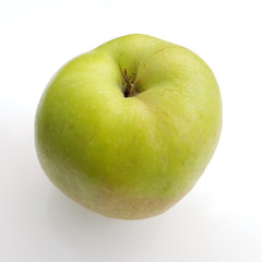 Toennedor, Tšnnedor, Alte Apfelsorte, Apfel, Malus, domestica