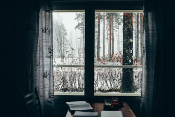 The view from the window of the winter forest