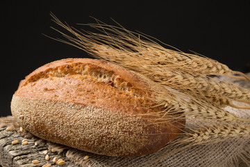 loaf of rye bread on a wooden board with ears and grains on a black background