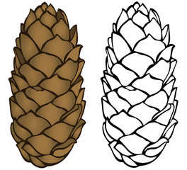 long Pinecone coloring page