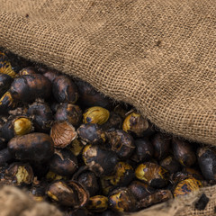roasted chestnuts by the street vendor, sardinia