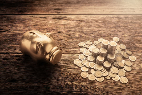 business finance ideas concept with golden saving pig and money coins on wooden floor