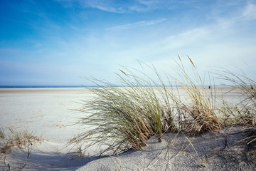 Nordsee, Strand auf Langenoog: Dünen, Meer, Entspannung, Ruhe, Erholung, Ferien, Urlaub, Glück,...