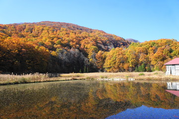 紅葉　沼　山　秋