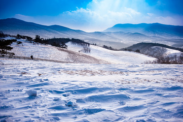 Pyeongchang, Gangwon-do, South Korea - Daegwallyeong Yangtte Farm with heavy snowfall.