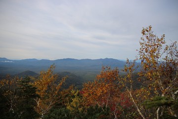 Autumn in the Sikhote-Alin