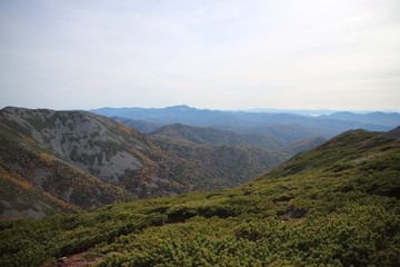 National park call of the tiger