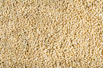 Dried pearled barley closeup