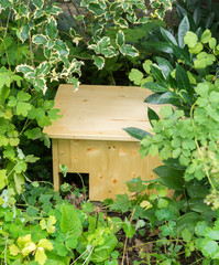 Do it yourself hedgehog shelter under bushes II