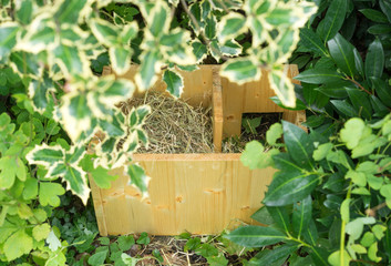 Do it yourself hedgehog shelter under bushes with open roof and hay inside © irottlaender