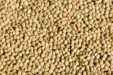 Green lentils pattern. Natural organic lentils for healthy food
