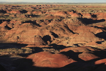 Fototapeta premium ペトリファイド・フォレスト国立公園のペインティド・デザート