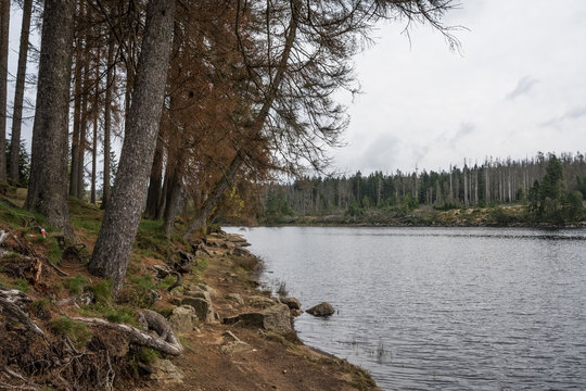 The Silberteich lake  in Harz, Germany