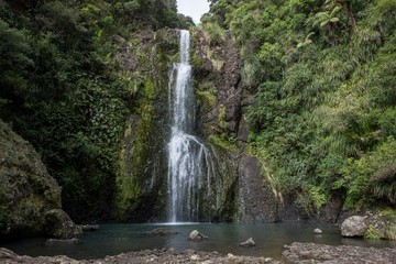 Fototapeta na wymiar Piha Waitakere park New Zealand Waterfall