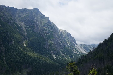 Fototapeta na wymiar Nature in High Tatras in Slovakia. Mountains of rocky rocks cliffs and waterfalls suitable as background pictures of wishes, banners.