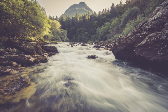 Mountain River In The Green Forest