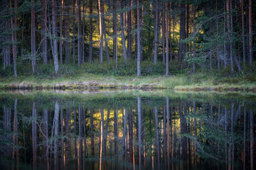 Beautiful reflection with trees and forest at little lake in Finland