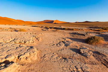 Sossusvlei Namibia, travel destination in Africa. Sand Dunes and clay salt pan with acacia trees, Namib Naukluft National Park, Namib desert.