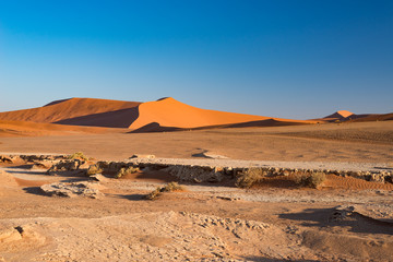 Sossusvlei Namibia, travel destination in Africa. Sand Dunes and clay salt pan with acacia trees, Namib Naukluft National Park, Namib desert.