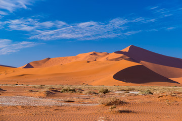 Fototapeta na wymiar Sossusvlei Namibia, travel destination in Africa. Sand Dunes and clay salt pan with acacia trees, Namib Naukluft National Park, Namib desert.