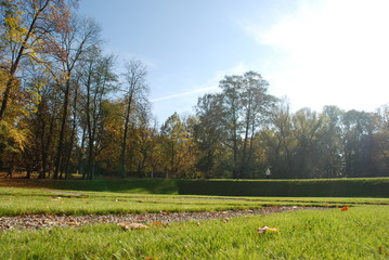 Słoneczny jesienny dzień w parku