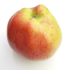 Honigapfel, Alte Apfelsorten, Apfel, Malus, domestica