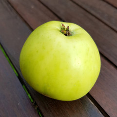 Pomme de Or, Alte Apfelsorten, Apfel, Malus, domestica