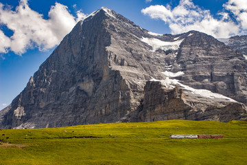 Majestic north face of Eiger mountain (3.967m - 13.015ft) and train to Jungfraujoch in the Bernese Alps in summer. Kleine Scheidegg, Bernese Oberland, Switzerland. - obrazy, fototapety, plakaty