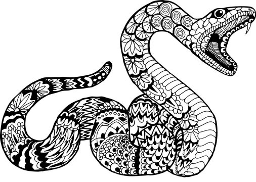 Snake with open mouth. Hand drawn patterns for coloring. Freehand sketch drawing for adult antistress coloring book in zentangle style.