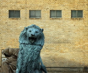 Bronze Lion in turquoise