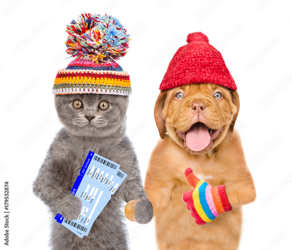 Poster puppy and kitten in winter hats with tickets showing thumbs up. isolated on white background