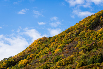 片品渓谷の紅葉