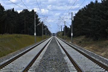 Railway Tracks in the Forest