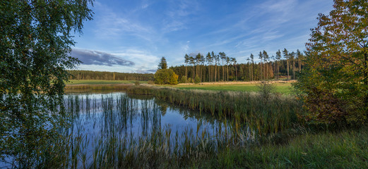 Obraz premium Little pond with trees and meadow