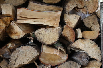 Fototapeta premium Feuerholz Brennholz gestarpelt