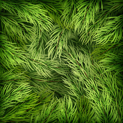 Christmas background from fir tree branches. EPS 10 vector
