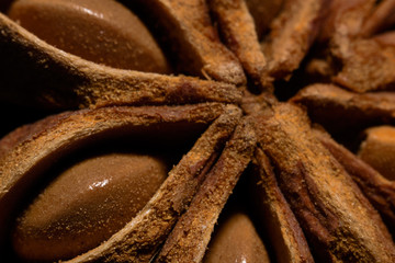 Background of Illicium verum macro